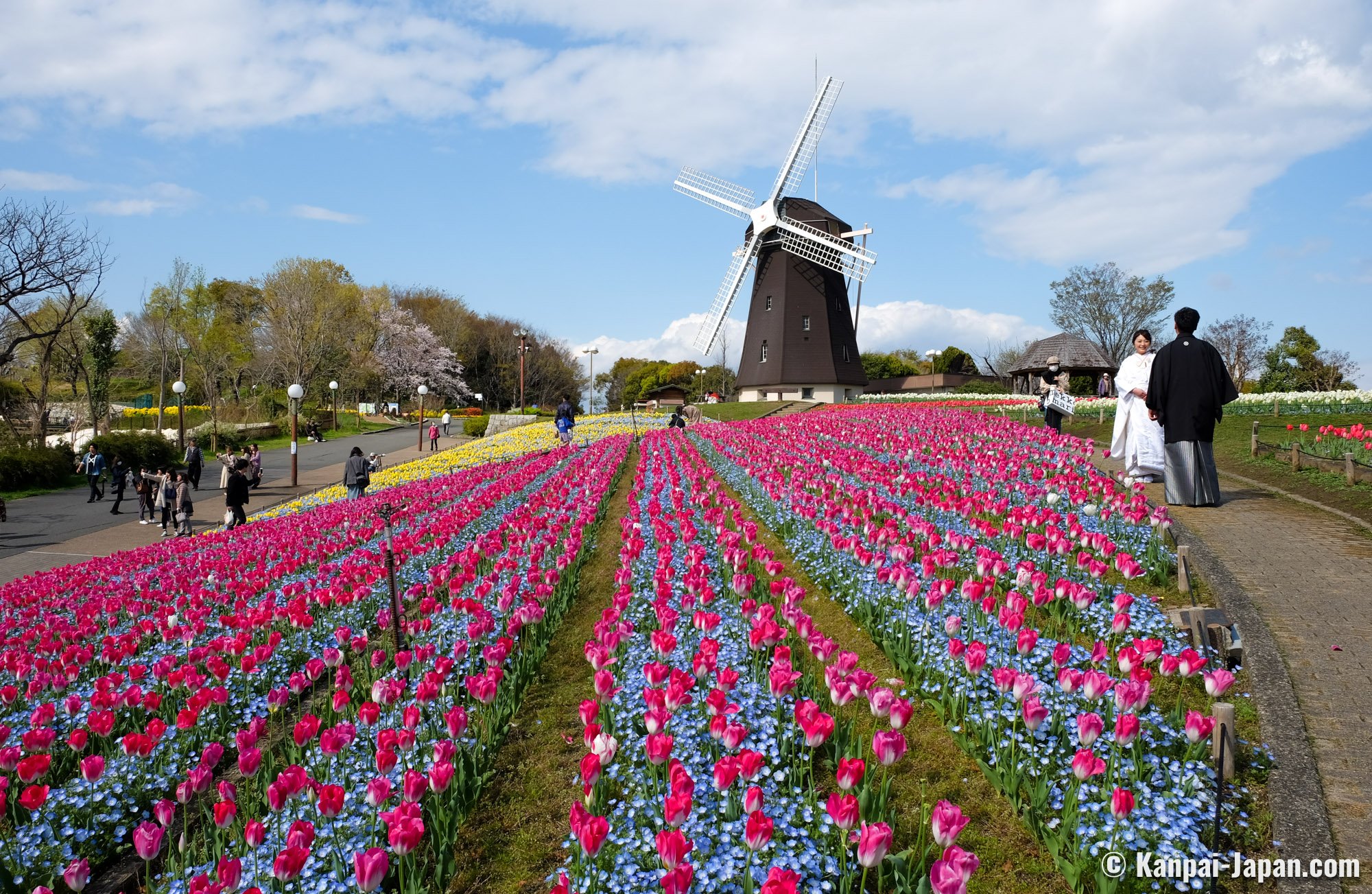 🏞️ 백간천 녹지 공원(햣켄가와 료쿠치코엔) 이미지 8